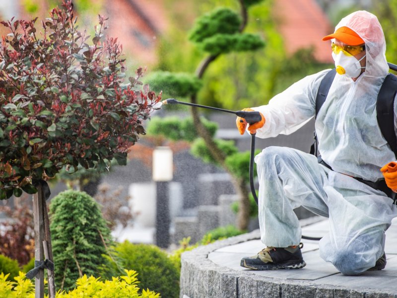 Bozüyük Haşere İlaçlama